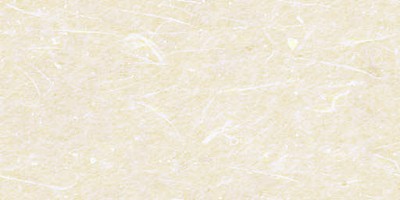 s16bg2.jpg