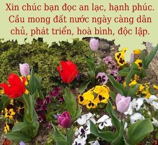 Chúc-2018