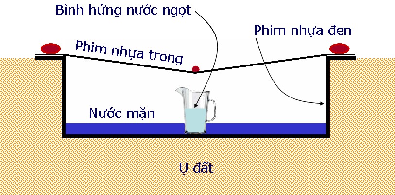 Hinh 2 Hinh 2