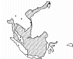 Image1 DL