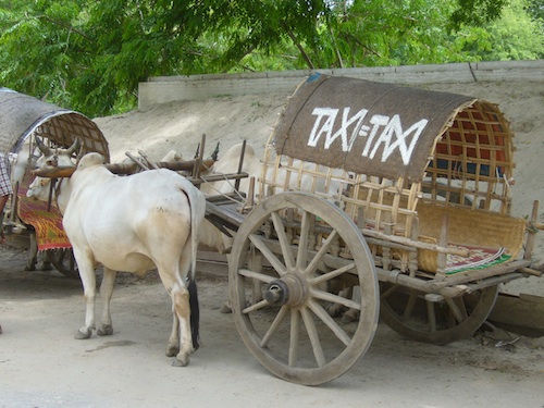 taxi taxi
