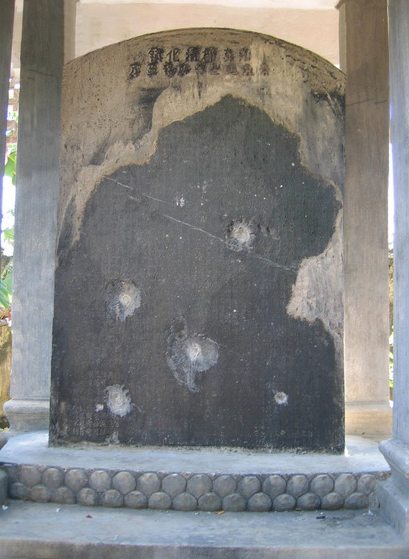 images6