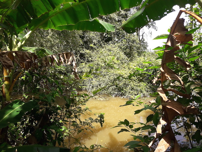 nhaxua nhaxua
